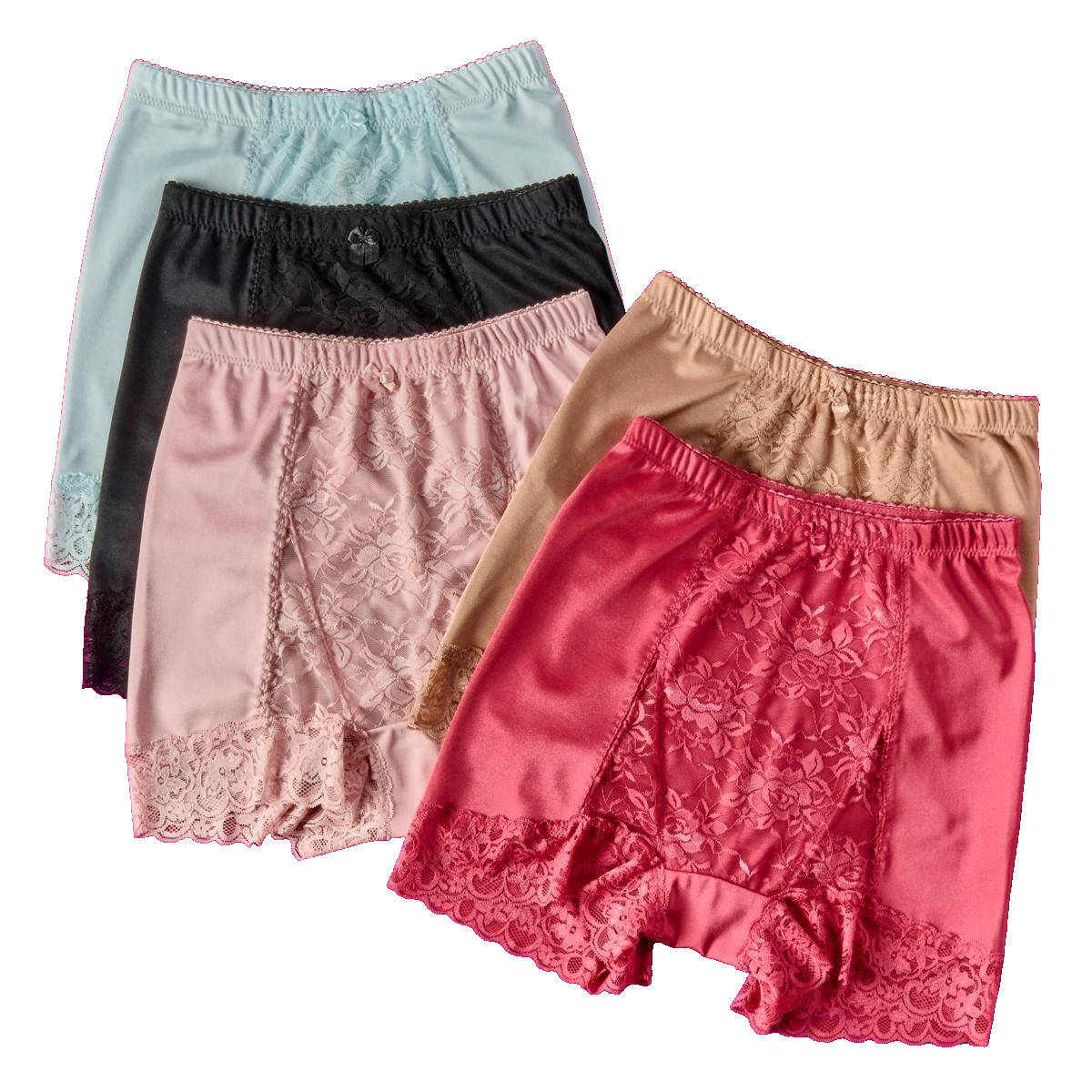 Rhonda Shear 5-pack Classic Pin-Up Panty with Lace Detail Sienna/Pink Sz L New