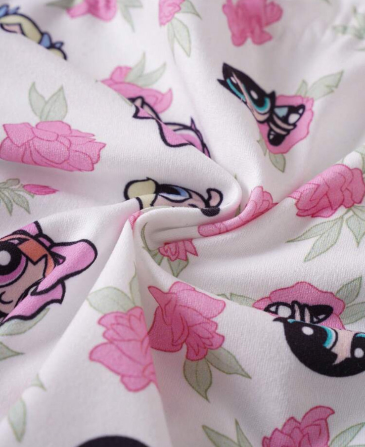 Women’s Teens Powerpuff Girls X SHEIN Floral Ruffle Cartoon Brief Panties L 3 pk