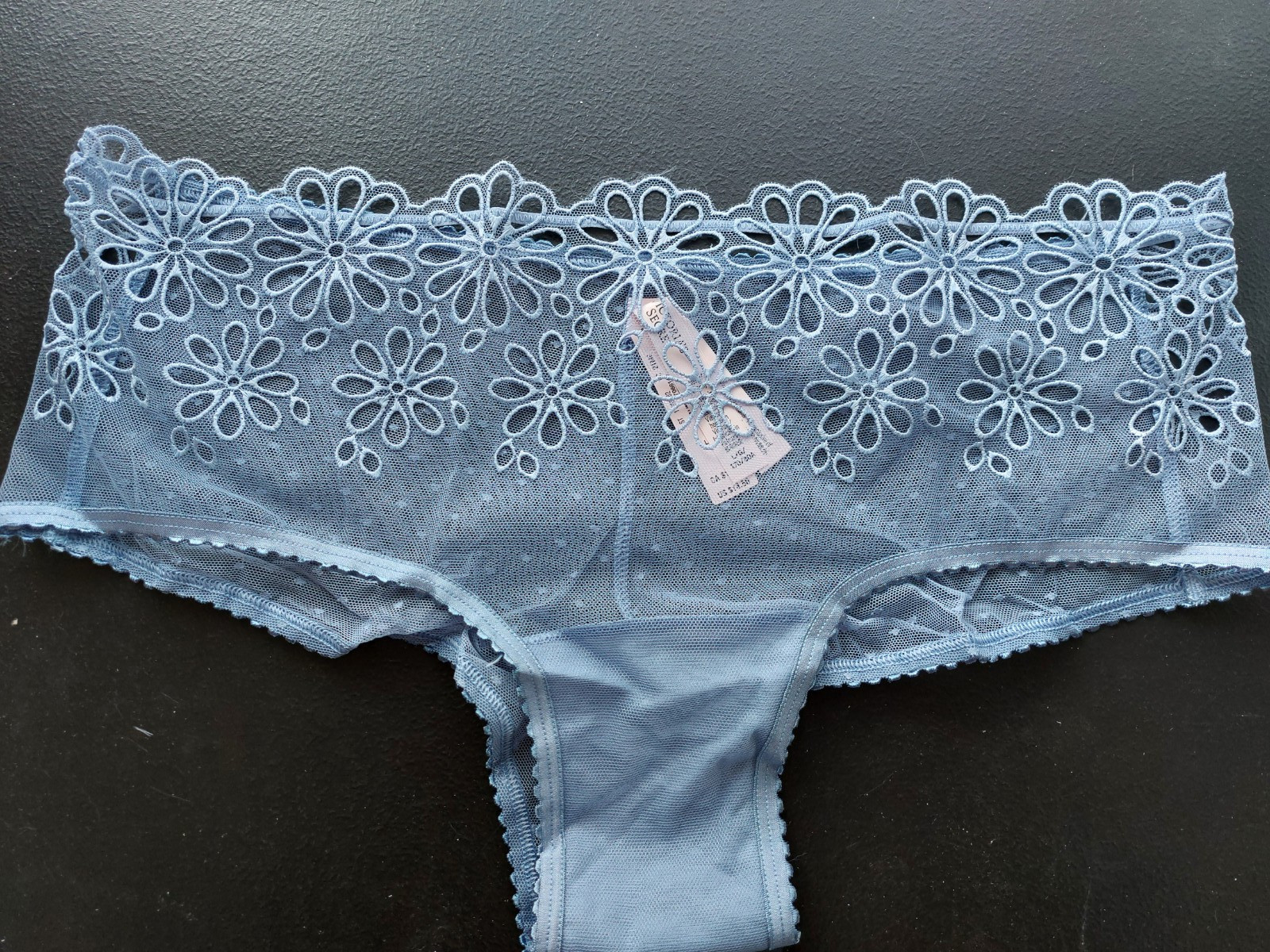 NWT Victoria’s Secret The Lacie Eyelet Mesh Cheeky Periwinkle Large (212)