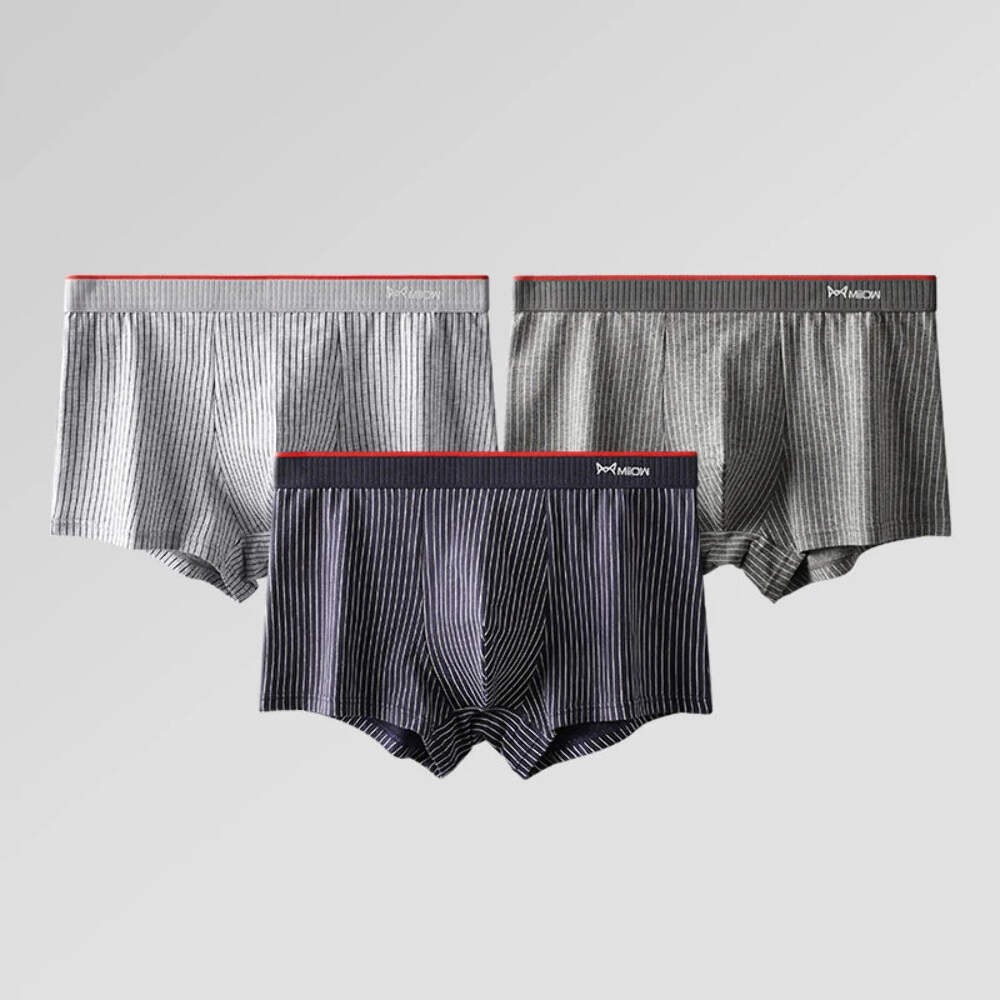 MiiOW 3/4Pcs PLUS 5XL Men Underwear Striped Panties Boxershorts Organic Cotton B