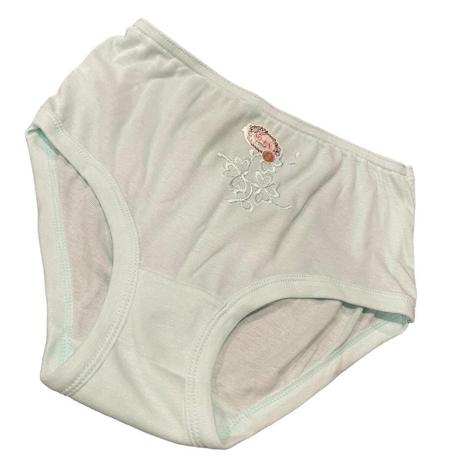Soen SMP Semi Full Ladies Panty Pastel Color Embroidered Size L