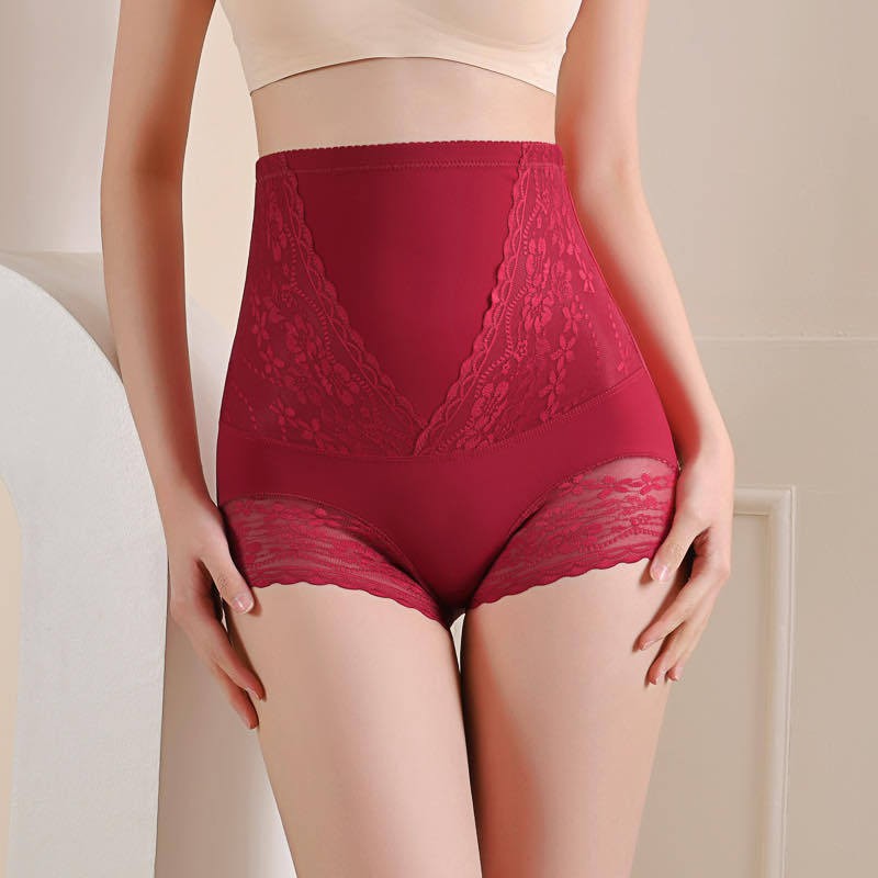 2 -4 Pack Sexy Womens Panties Underwear High Waist Lace Briefs Lingeries M-5XL