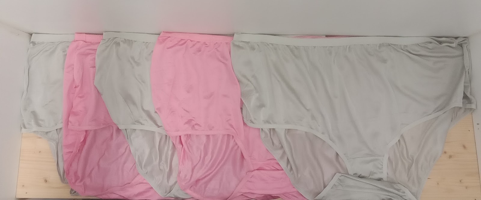NWOT Assorted Comfort Choice 5 Pair Pack Nylon Brief Panties Size 14