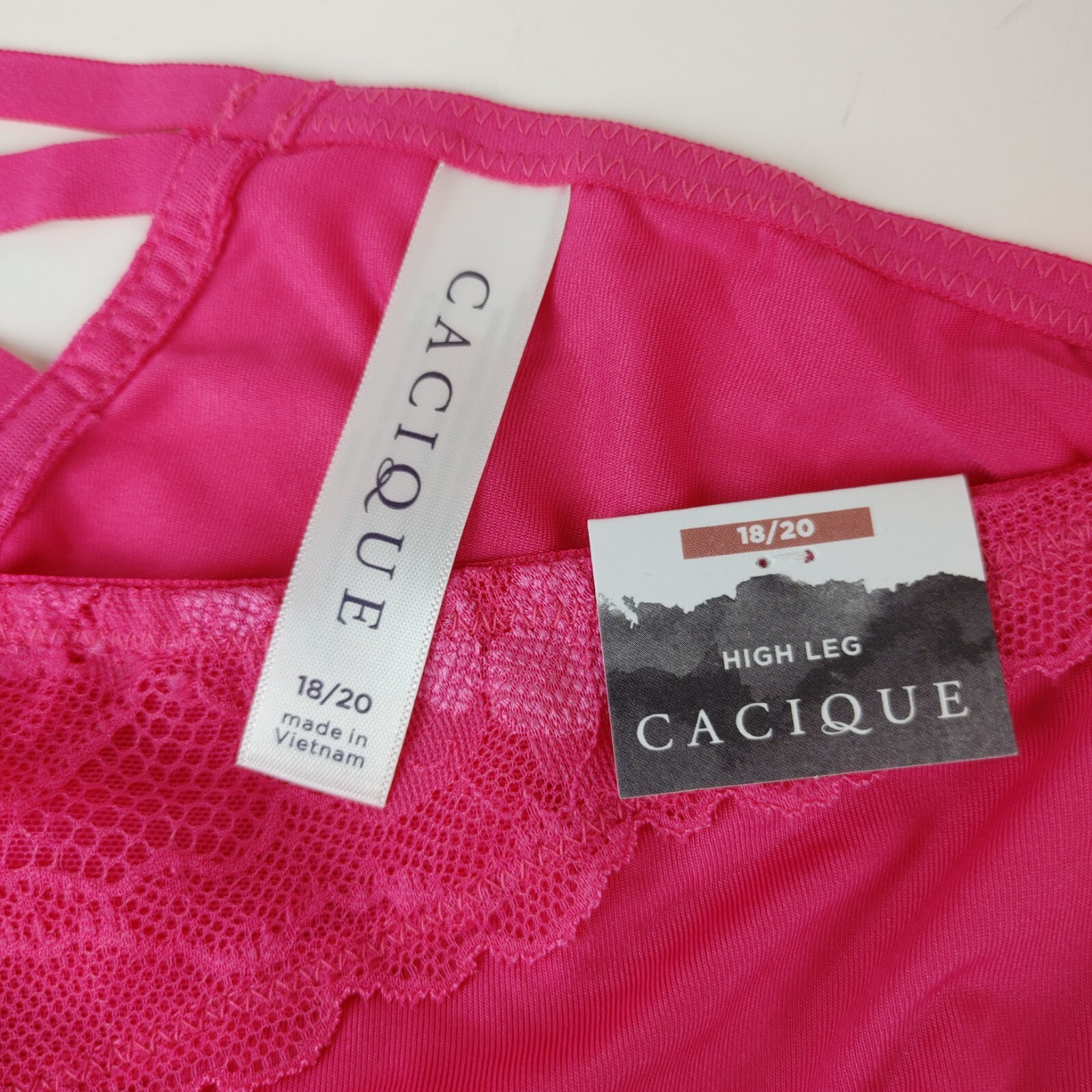 Lane Bryant Cacique High Leg 18/20 Plus Panties Pink With Pink Lace