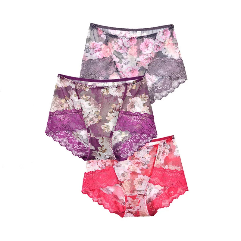 Mesh Lace Panties Mid Rise Womens Sheer Floral Panty Plus Size Underwear