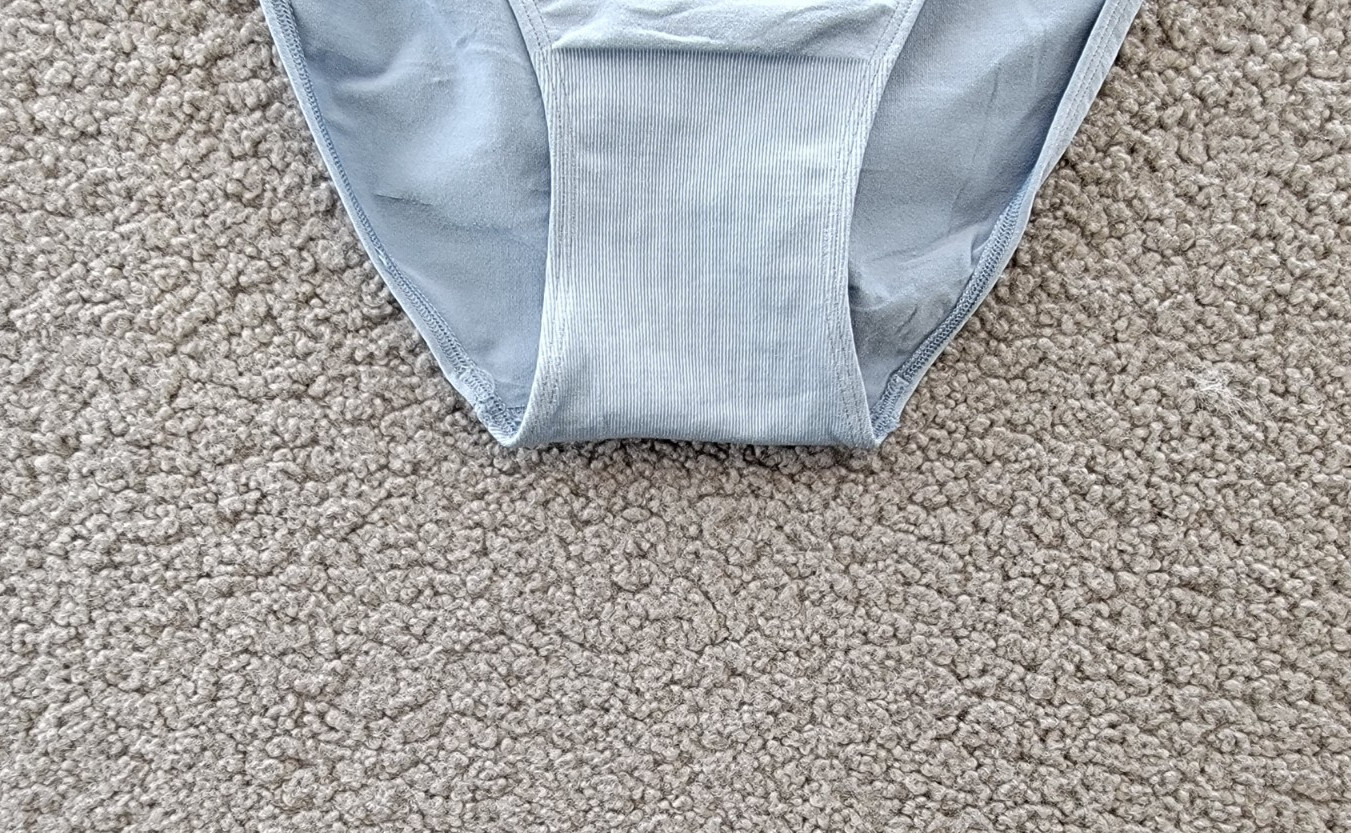 Wacoal B-Smooth Seamless High-Cut Brief Underwear Women’s 5-S Windward Blue