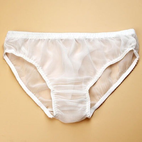 2 Pairs 100% Silk Briefs Hipster Bikini Panties See Through Transparent Knickers