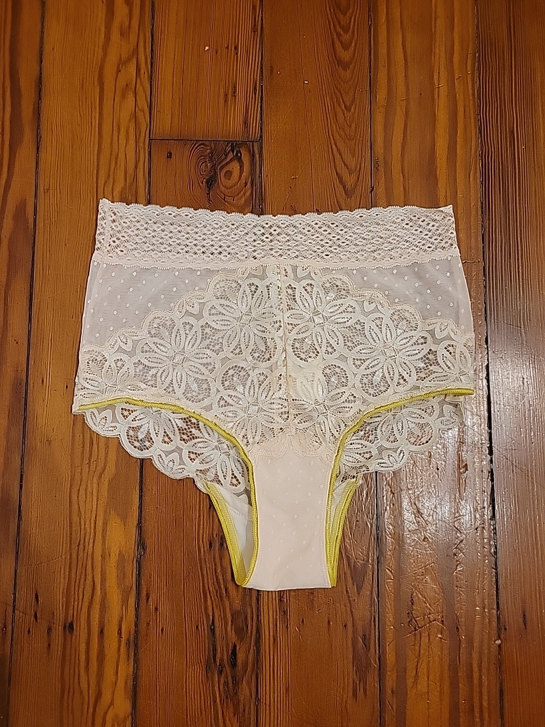 Anthropologie Womens M Pink Rose Lace High Waisted Panties Sheer Sexy Comfort
